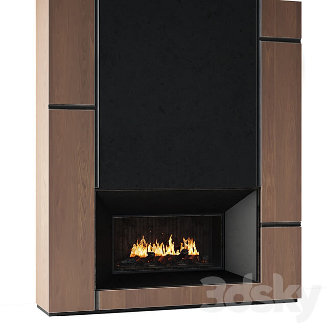 Fireplace modern 66