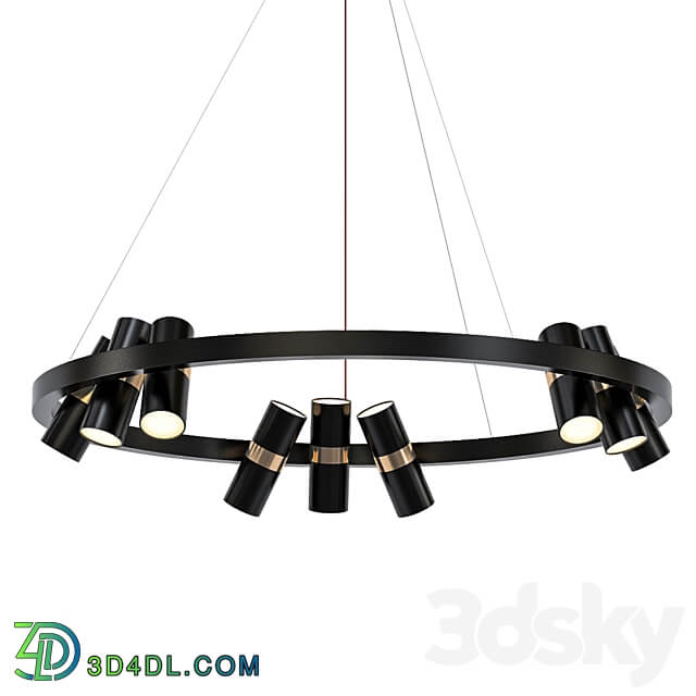 Pendant light spoor