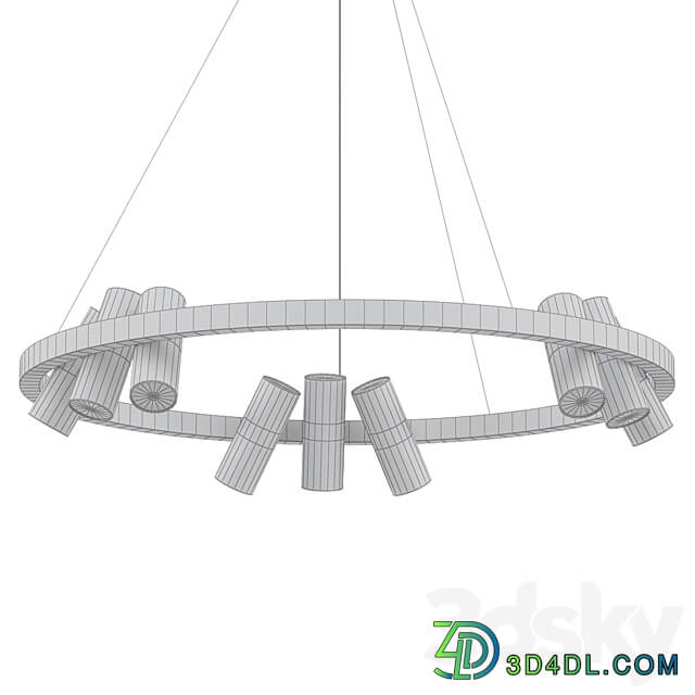 Pendant light spoor