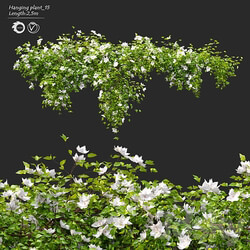 Fitowall Hanging Plant 15 