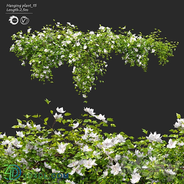 Fitowall Hanging Plant 15