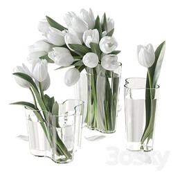 Bouquet of tulips 