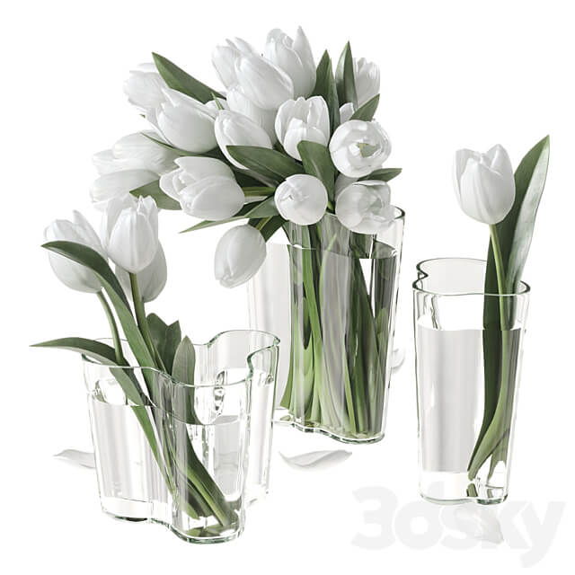Bouquet of tulips