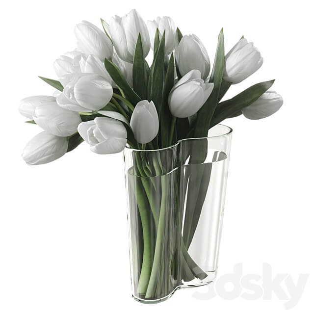 Bouquet of tulips
