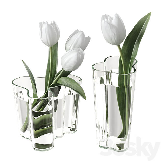 Bouquet of tulips