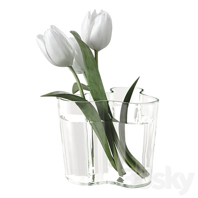 Bouquet of tulips