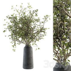 Green Branch in vase 40 