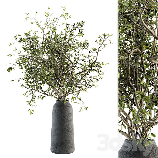 Green Branch in vase 40