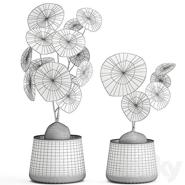 Stephania Erecta 894. Black flowerpot loft metal pot industrial style flower pot 3D Models
