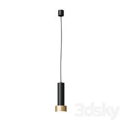 Focus pendant black and gold Pendant light 3D Models 