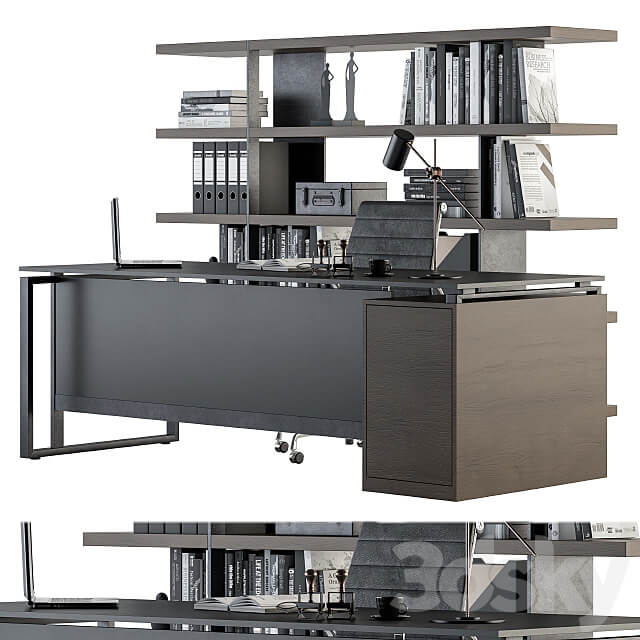 Office Furniture Manager Set 22