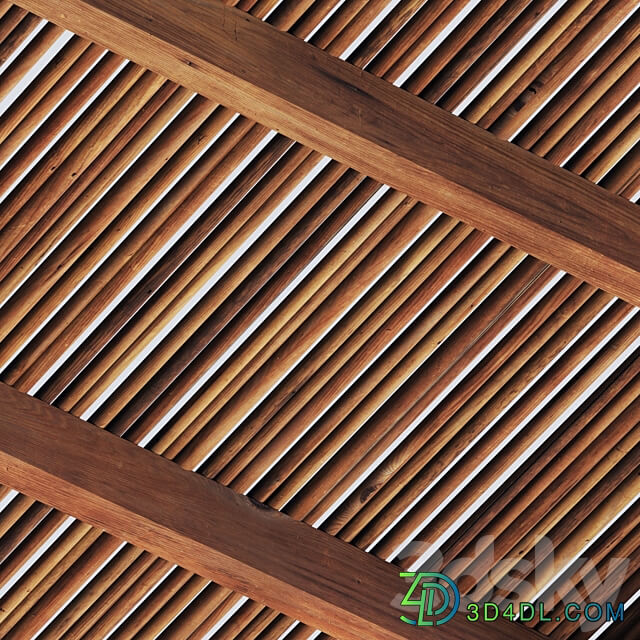 Ceiling thick branch straight n1 Ceiling of thick straight branches No. 1