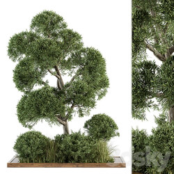 Garden set Tree and Bush Garden Set 16 