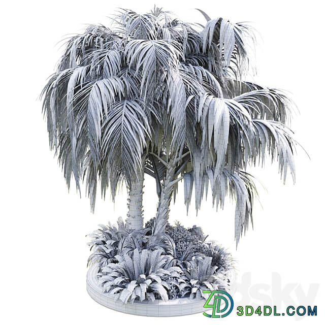 Collection Outdoor plant 39 in garden pot tree palm bush fern concrete dirt old vase