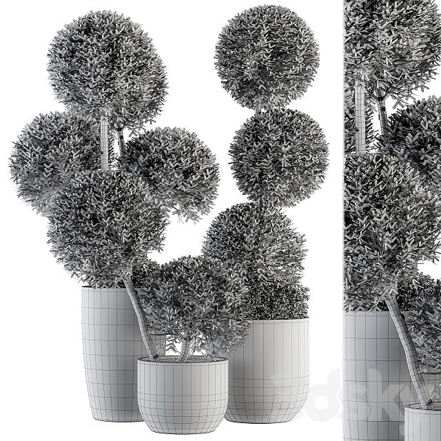 Outdoor Plant Set 234 Topiary Ball in Pot