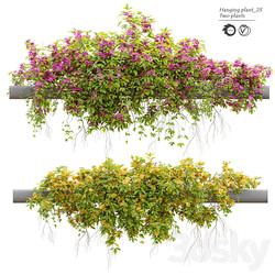 Hanging Plant 23 
