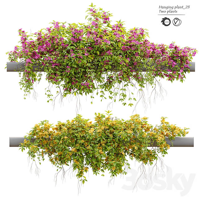 Hanging Plant 23