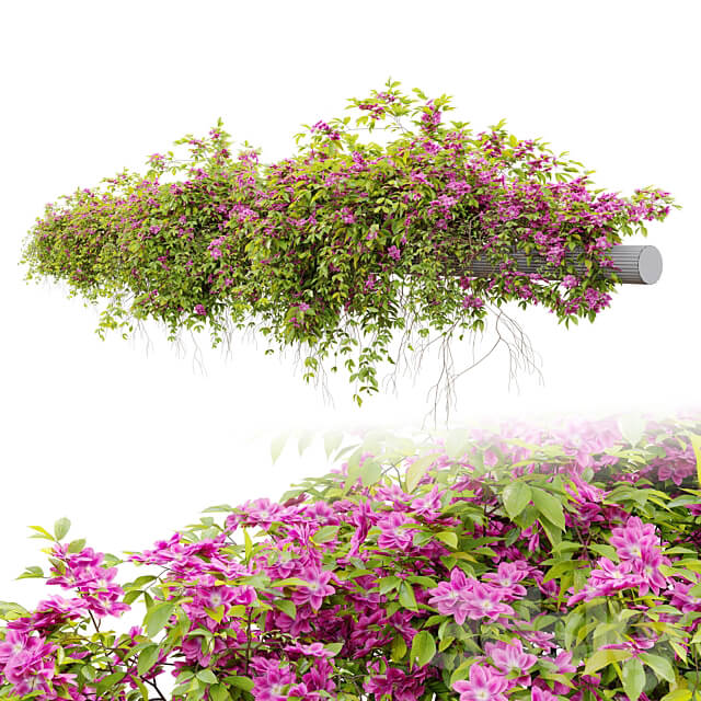 Hanging Plant 23