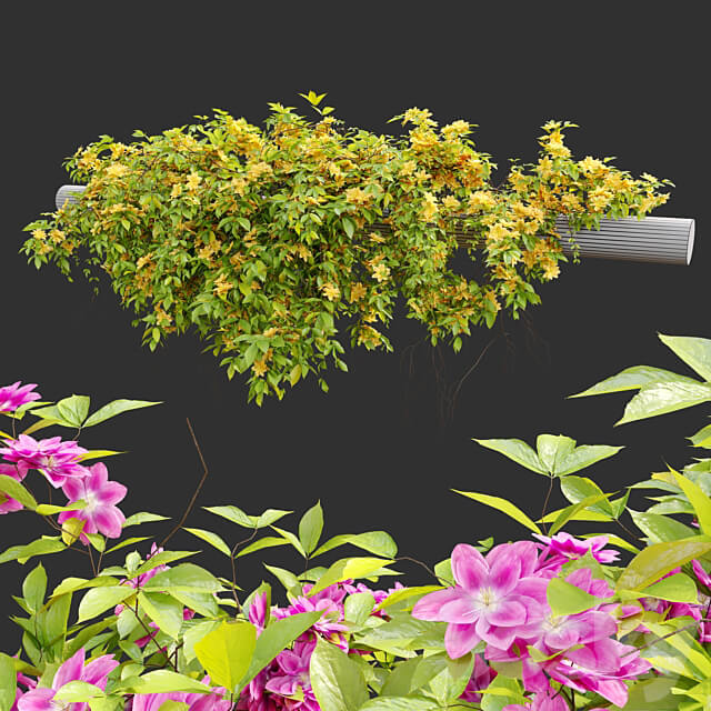 Hanging Plant 23