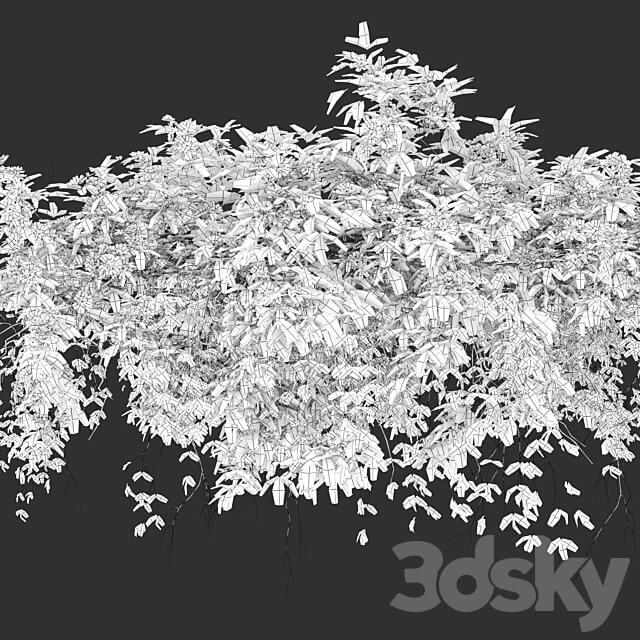 Hanging Plant 23
