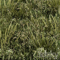 Wild Grass Green Grass Set 03 