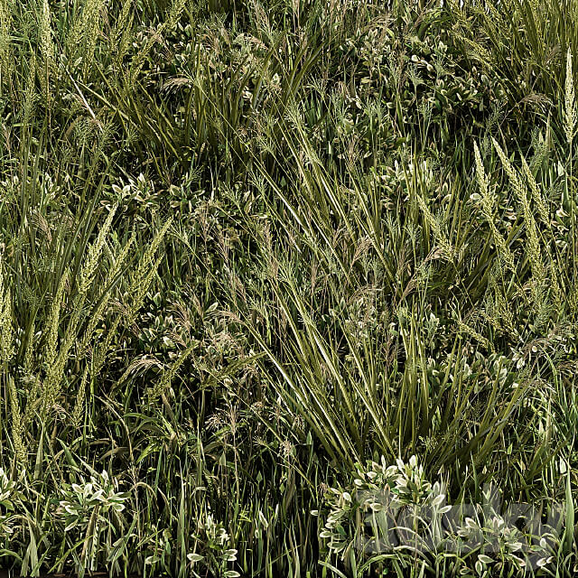 Wild Grass Green Grass Set 03