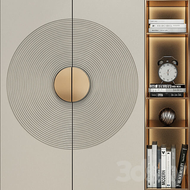 Wardrobe Display cabinets Furniture composition set 219