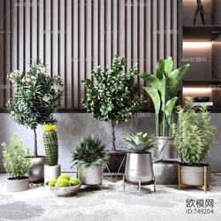 Interiors D30x6jqY 