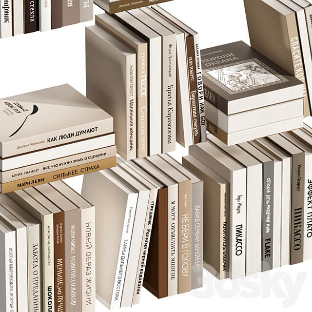 A set of books in Russian