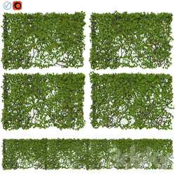 Fence with Ivy v12 