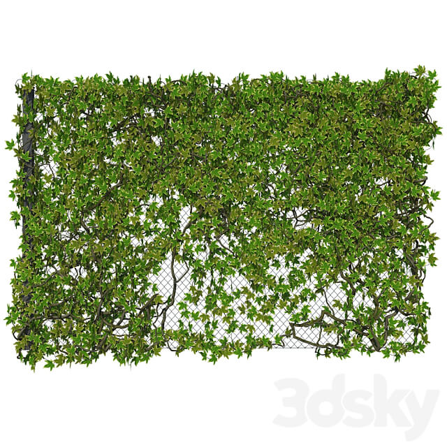Fence with Ivy v12