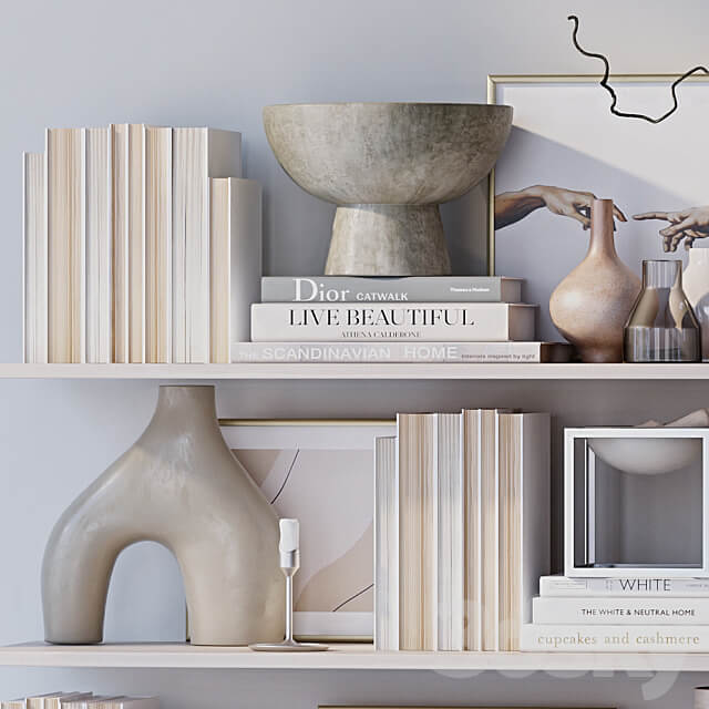 Shelves with decor