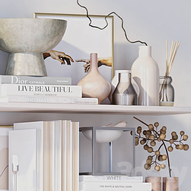 Shelves with decor
