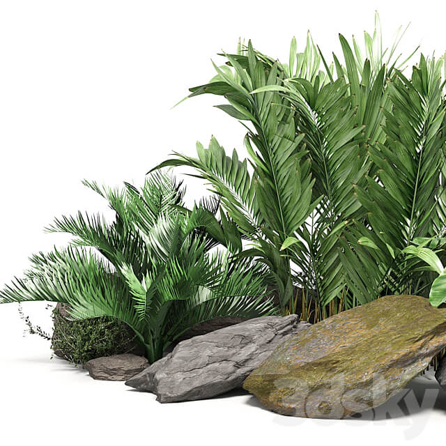 Stone Bush Pack 14