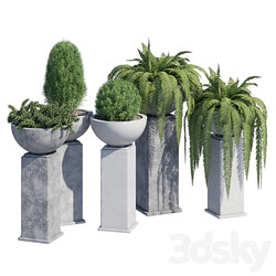 Modern planter 