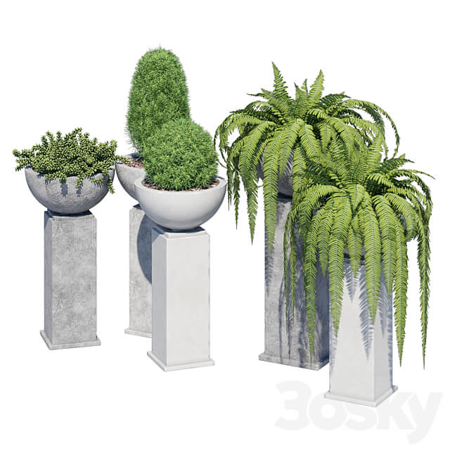 Modern planter