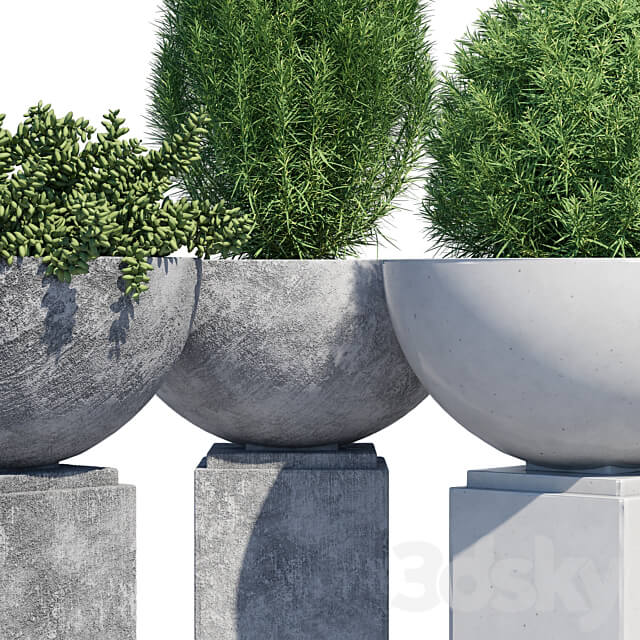 Modern planter