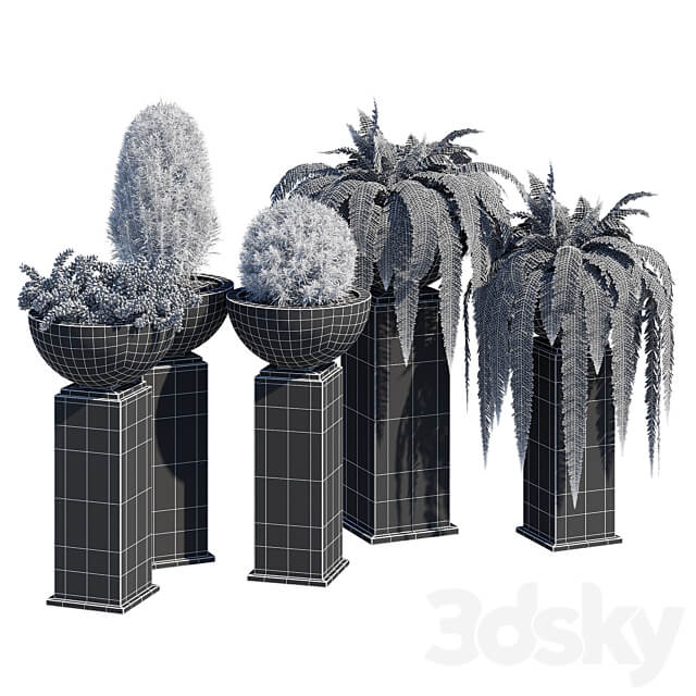 Modern planter