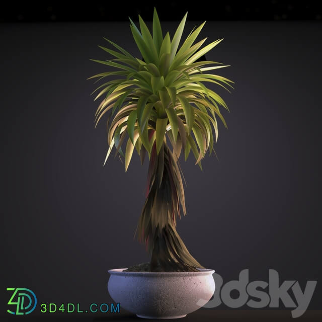 PLANT 5 3D Models