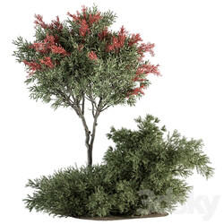 Red Crape Myrtle tree and Bush Outdoor Garden Set 313 3D Models 3DSKY 