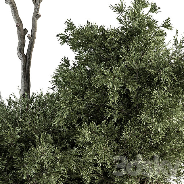 Red Crape Myrtle tree and Bush Outdoor Garden Set 313 3D Models 3DSKY