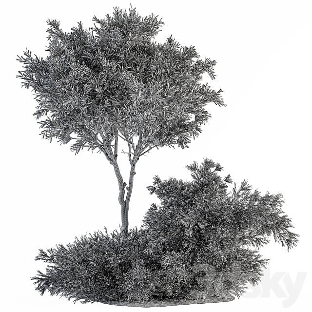 Red Crape Myrtle tree and Bush Outdoor Garden Set 313 3D Models 3DSKY
