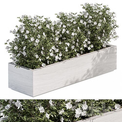 Outdoor Plant Set 304 Plant Box 3D Models 3DSKY 