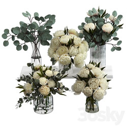 Bouquets of eucalyptus and peonies 3D Models 3DSKY 