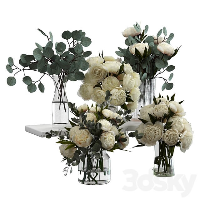 Bouquets of eucalyptus and peonies 3D Models 3DSKY