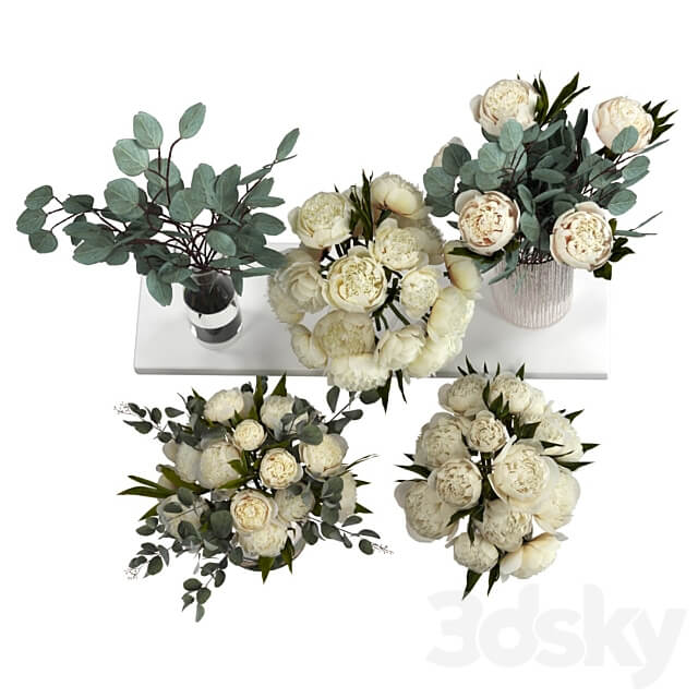 Bouquets of eucalyptus and peonies 3D Models 3DSKY