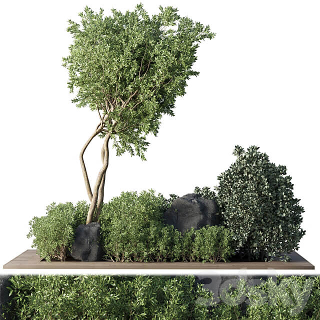 Collection Outdoor Indoor plant 67 green garden plant tree bush corona 3D Models 3DSKY