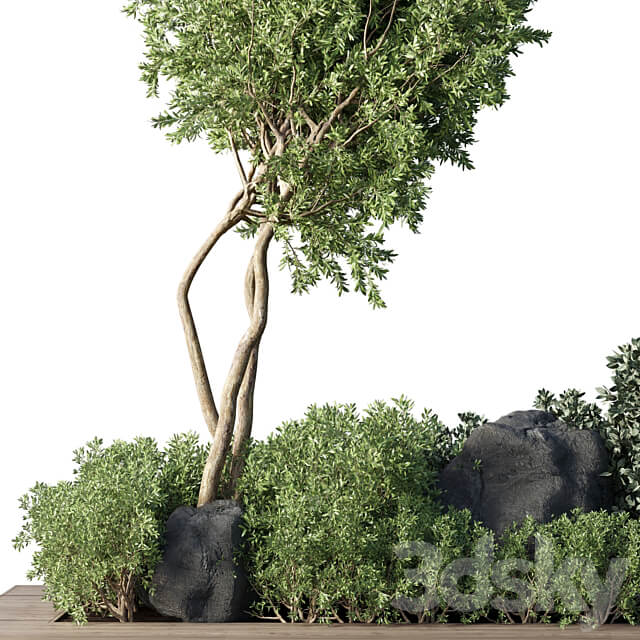 Collection Outdoor Indoor plant 67 green garden plant tree bush corona 3D Models 3DSKY