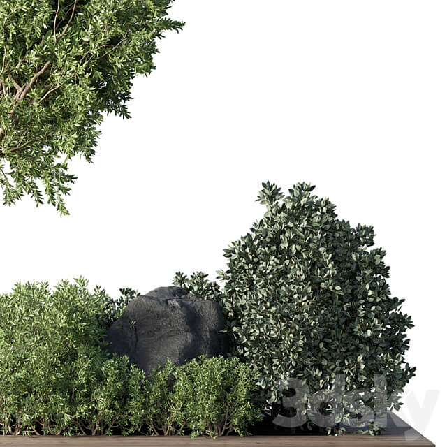 Collection Outdoor Indoor plant 67 green garden plant tree bush corona 3D Models 3DSKY