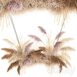 Bouquet 200. pampas grass dried flower reed suspension decoration branches dry decor natural decor dried flower decoration wedding eco design 3D Models 